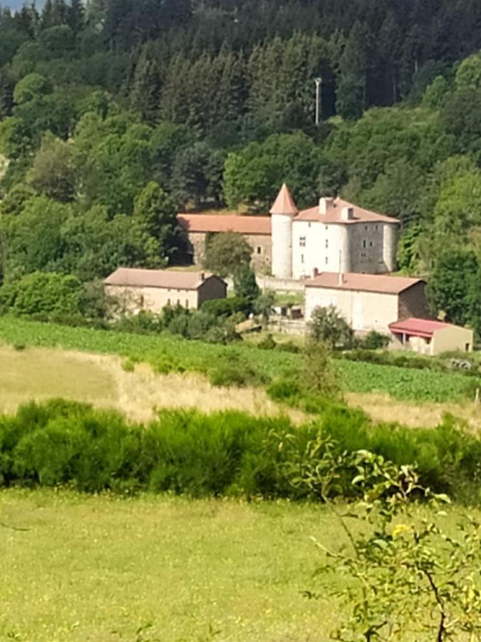 La Maison D'Oree Polignac  Bagian luar foto